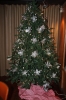 Kerst Country, Solo & riverdance_10